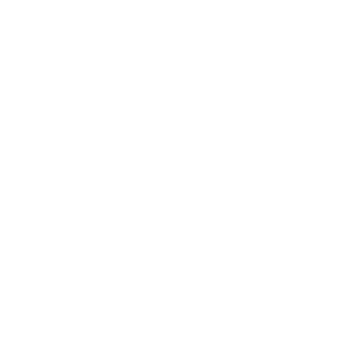 BOMBER